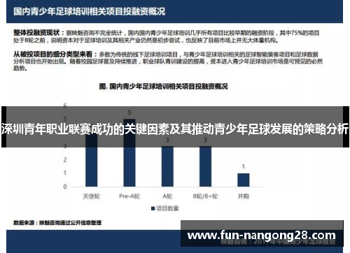 深圳青年职业联赛成功的关键因素及其推动青少年足球发展的策略分析